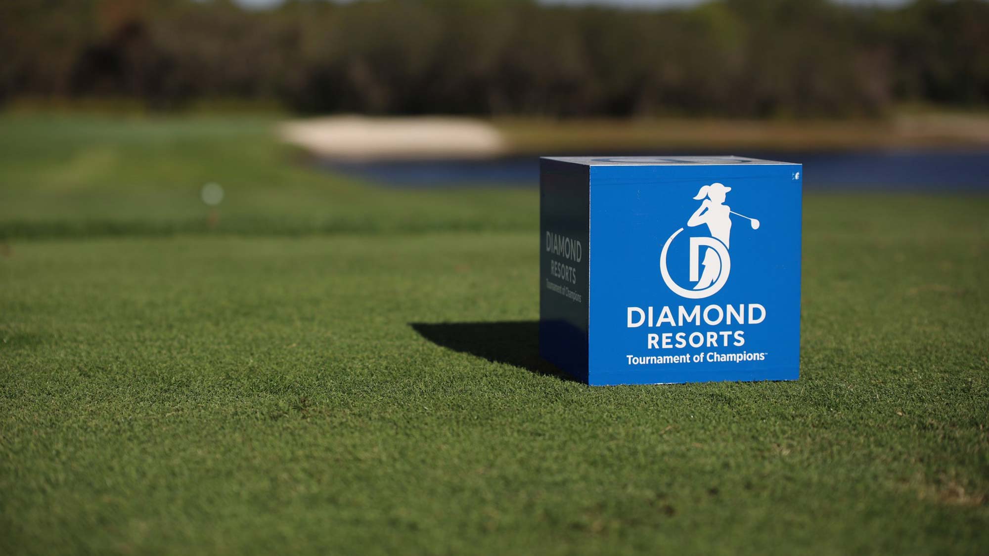 diamond-resorts-tee-marker_web.jpg